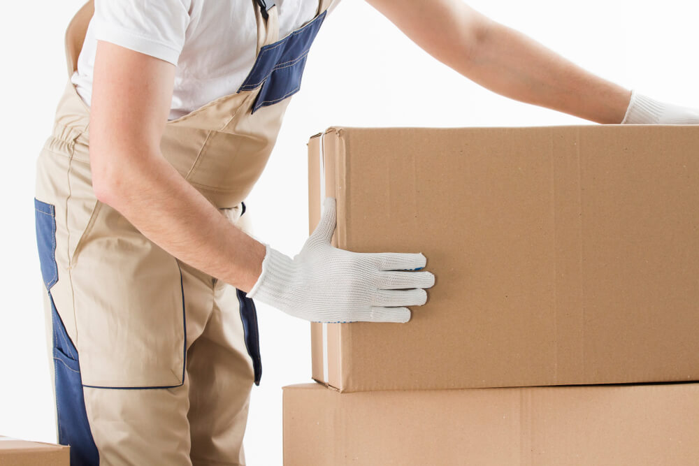 Freight Forwarding