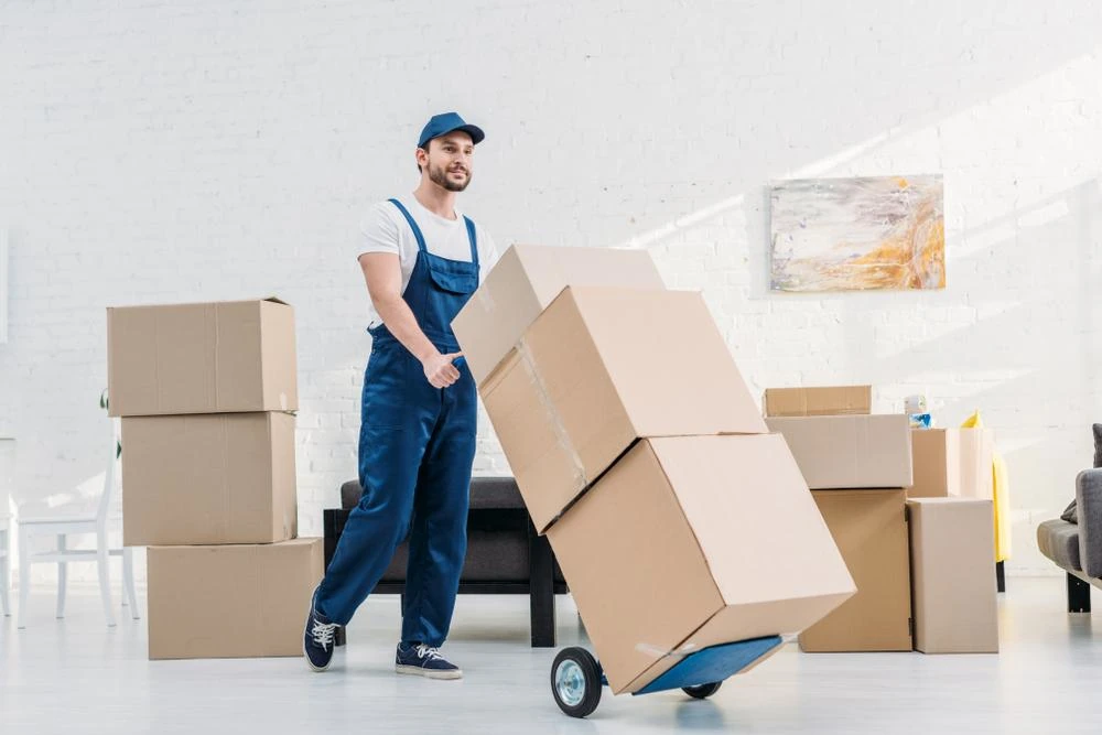 Storage And Moving Services